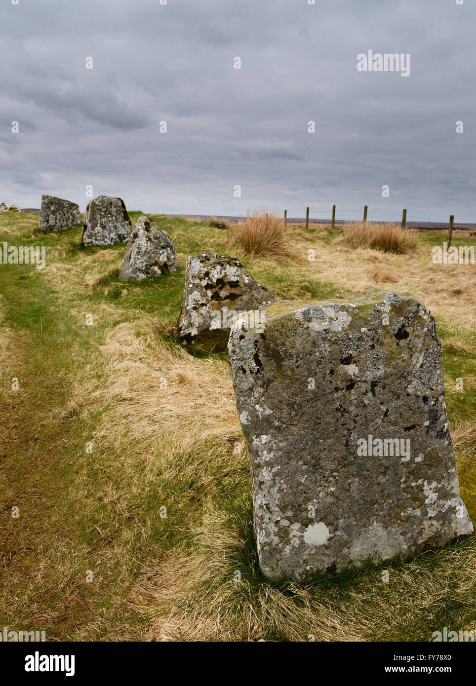 Achavanich Standing Stones, Loch Stemster, Latheron, Caithness, Écosse Banque D'Images