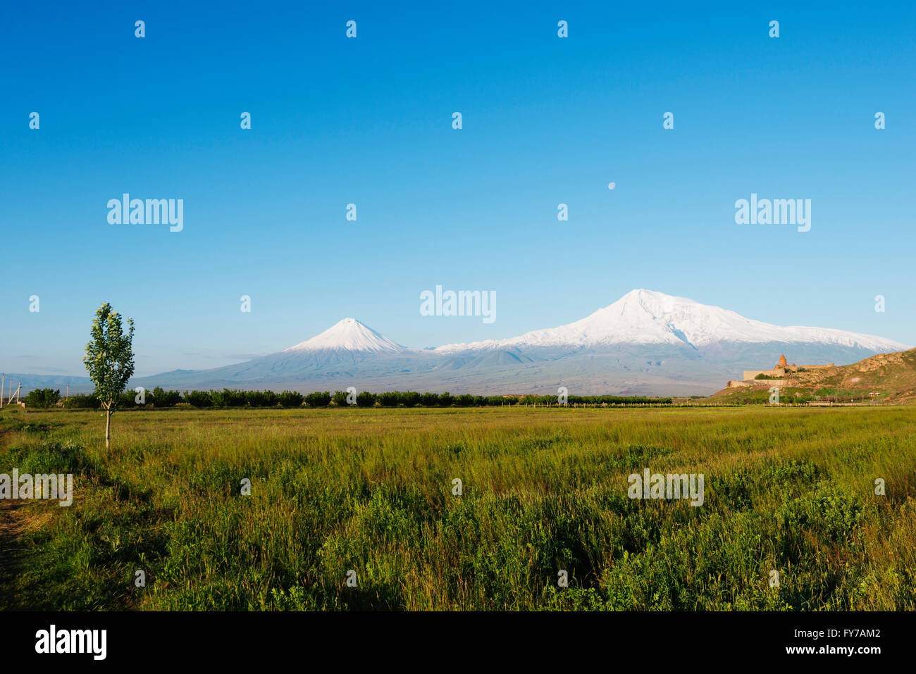 L'Eurasie, région du Caucase, l'Arménie, le monastère de Khor Virap, Le Mont Ararat (5137m) plus haut sommet en Turquie photographié d'Armen Banque D'Images