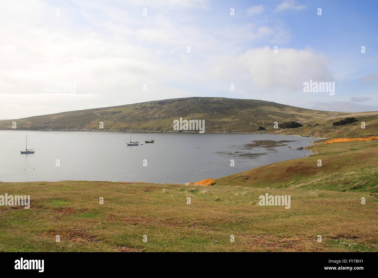 Le port naturel de l'île de West Point, Îles Falkland Banque D'Images