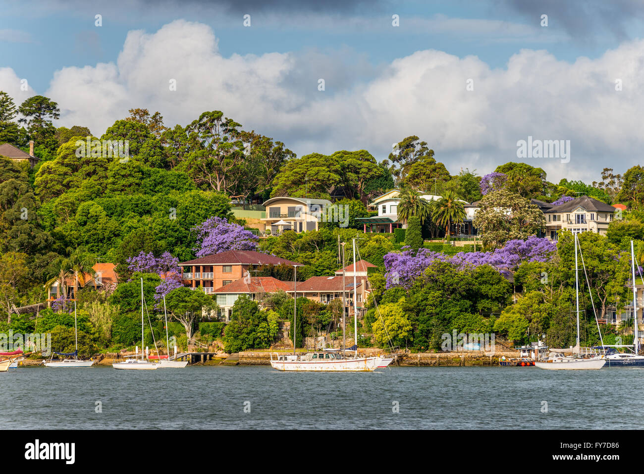 Hôtels particuliers sur les rives de la rivière Parramatta par temps nuageux, banlieue de Sydney, Nouvelle Galles du Sud, Australie Banque D'Images