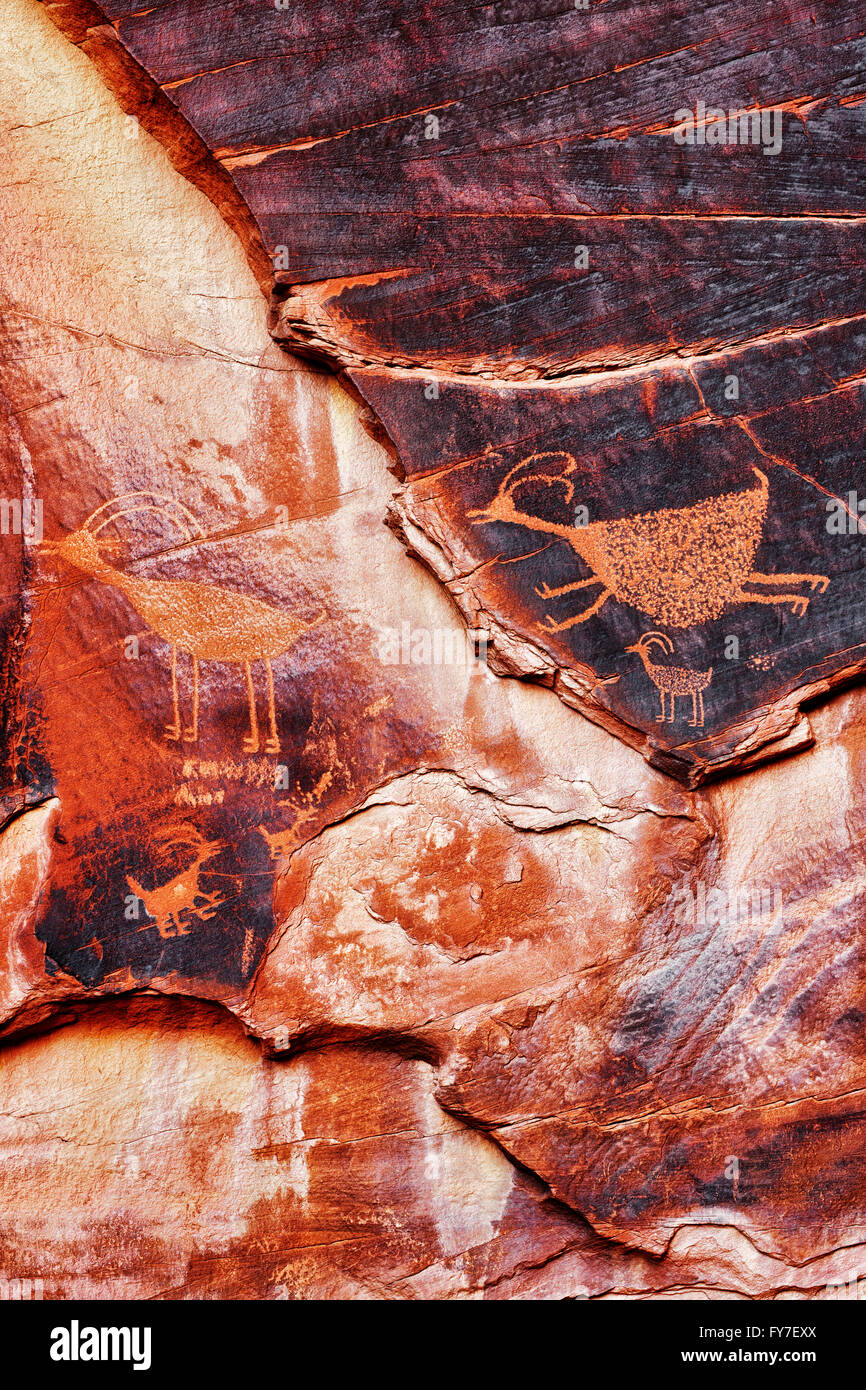 La culture Anasazi pétroglyphe de mouflons en Arizona's Monument Valley Tribal Park. Banque D'Images