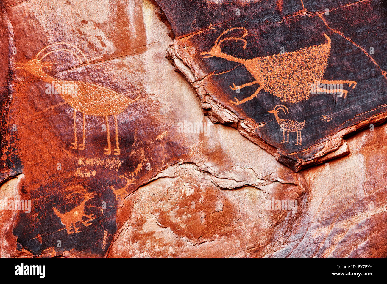 La culture Anasazi pétroglyphe de mouflons en Arizona's Monument Valley Tribal Park. Banque D'Images