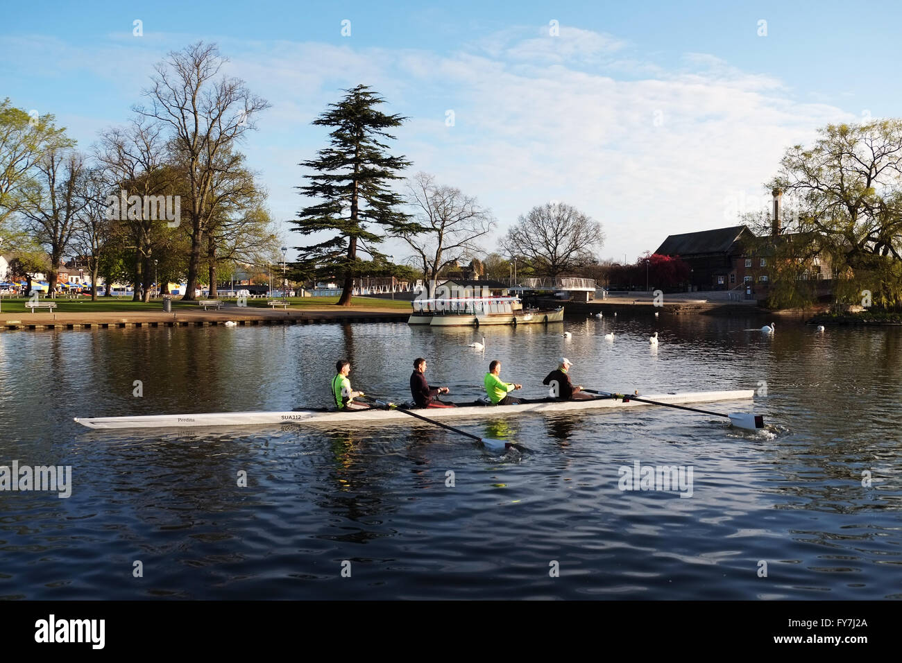 Rameurs de Stratford-sur-Avon Rowing Club, sur la rivière Avon, avec le Bancroft Jardins en arrière-plan. Banque D'Images