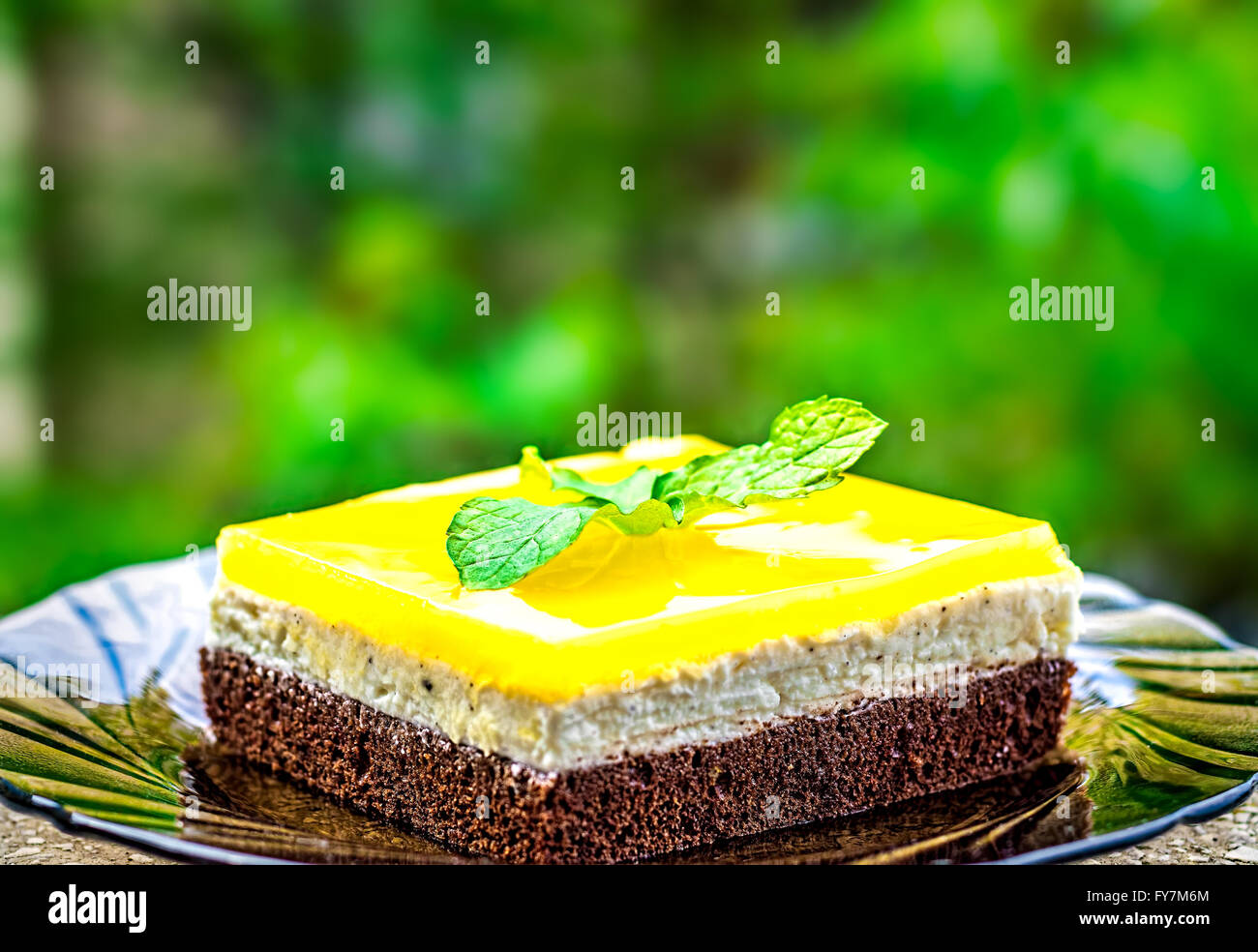 Vue latérale d'éponge chocolat, fromage à la crème et le jus d'orange jello topping gâteau décoré de feuilles de menthe contre un lecteur blu Banque D'Images