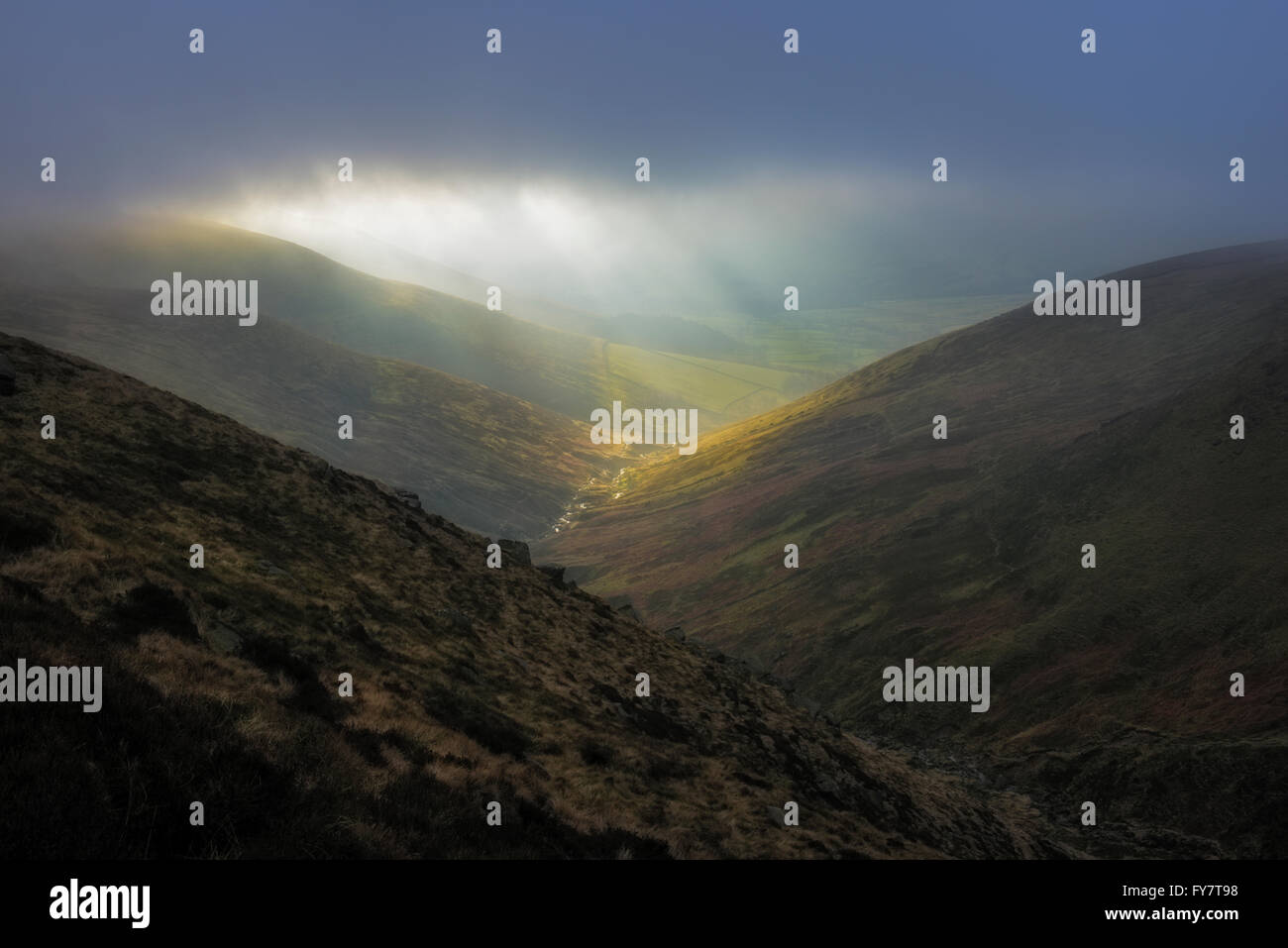Un arbre de lumière par moody ciel de Crowden Brook Kinder Scout et la vallée de Edale, Peak District, Derbyshire, Angleterre Banque D'Images