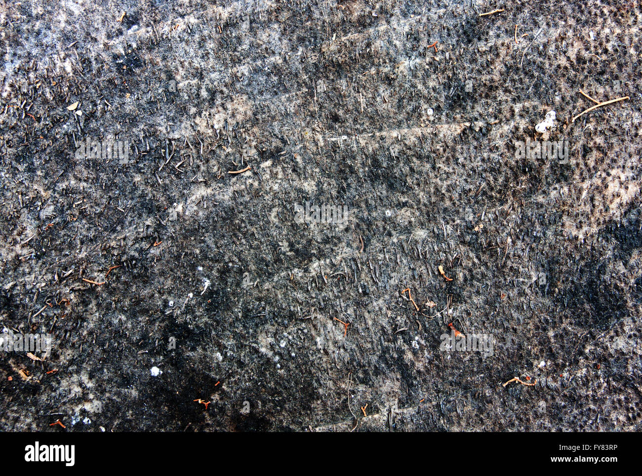 Le charbon de bois. Fait à partir de la combustion du bois. La surface de la peau qui en résulte est texturée unique. Banque D'Images