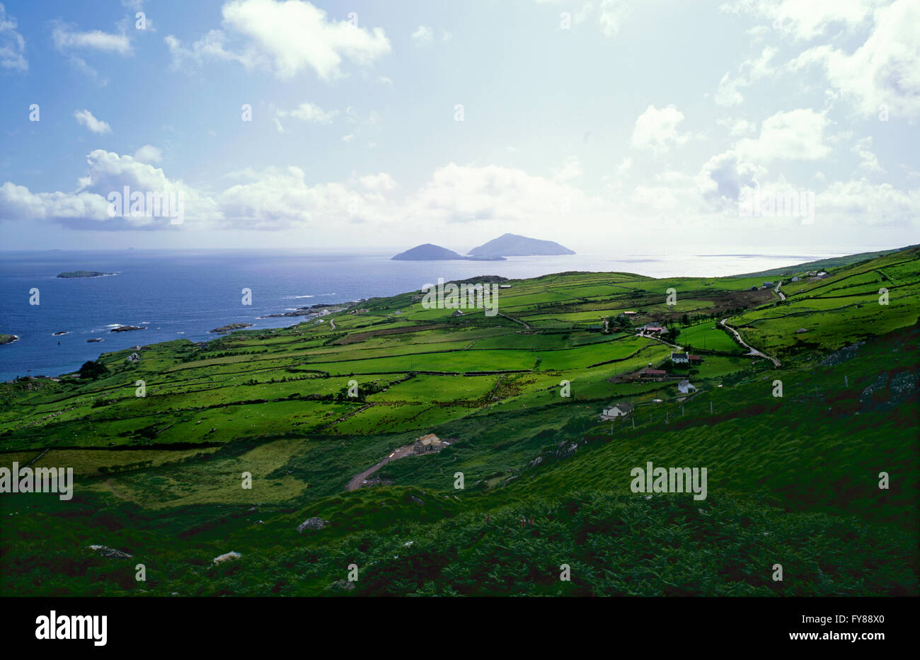 Îles Blasket à partir de la péninsule de Dingle, Ring of Kerry, comté de Kerry, Irlande Banque D'Images