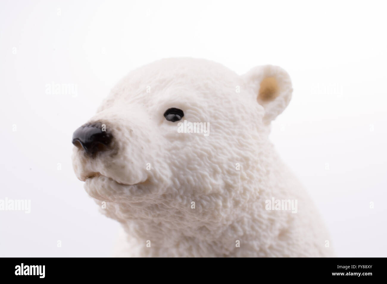 Modèle d'ours polaire blanc Banque D'Images