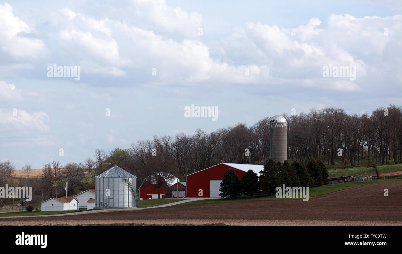 De l'Iowa farm home place avec bac à céréales, maison, grange et autres bâtiments Banque D'Images