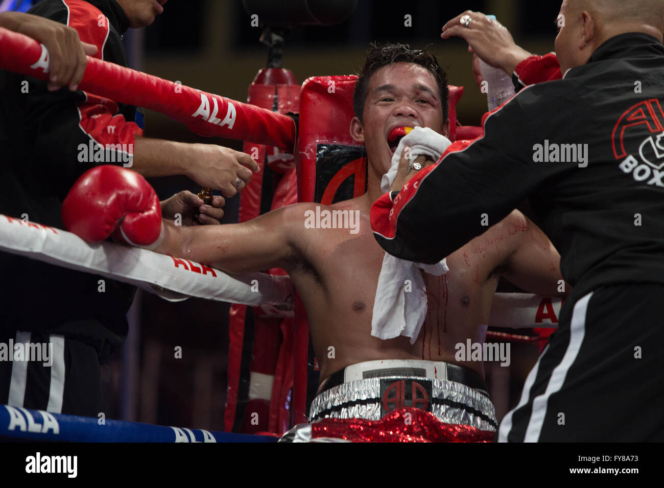 23/4/2016 Complexe sportif de la ville de Cebu, Cebu City, Philippines.Jason 'El Nino' Pagara reçoit l'attention sur une blessure tandis que dans son coin. Banque D'Images