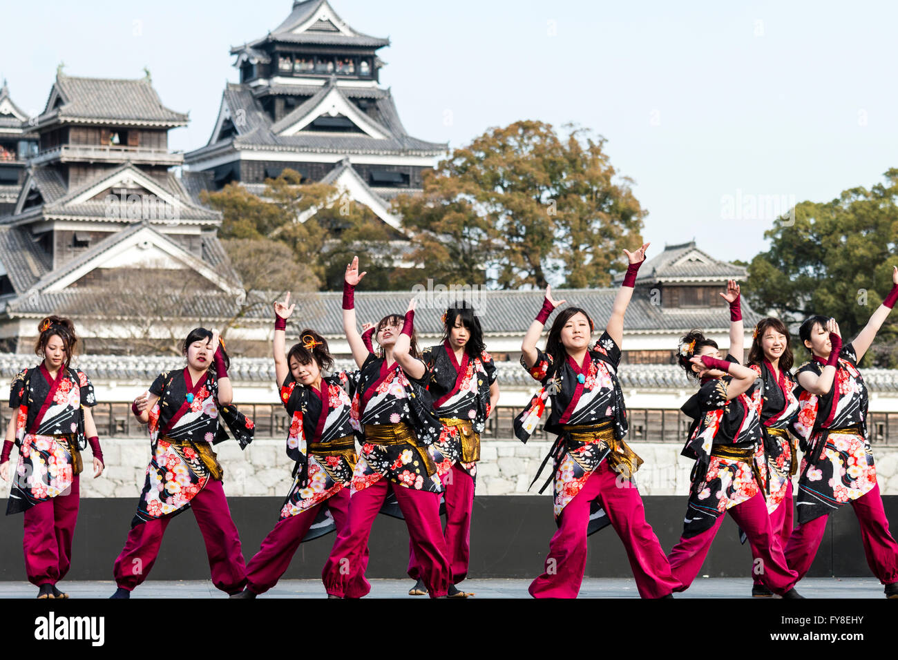Hinokuni Yosakoi Festival. Troupe de danse japonaise sur scène en plein air  danse de vestes et pantalons yukata pourpre, Château Kumamoto en  arrière-plan Photo Stock - Alamy