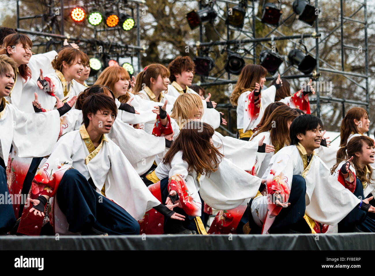 Danse Yosakoi Festival. Troupe de danse de vos hommes et femmes vêtus de vestes yukata, à genoux les bras atteignent dehors, sur scène, des projecteurs derrière eux. Banque D'Images