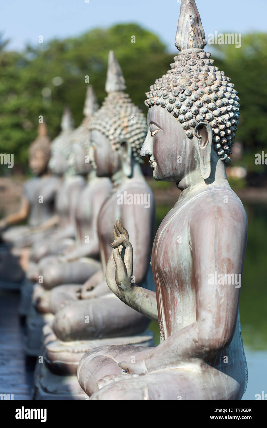 Bouddhas de Seema Malakaya Meditation Centre, Colombo, Sri Lanka Banque D'Images