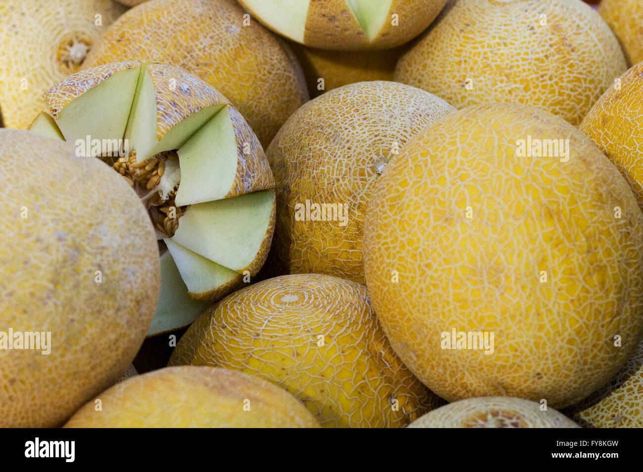 Melons jaune de galia Banque de photographies et d’images à haute