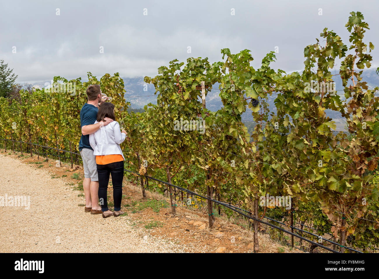 Les gens, les touristes, dégustation de vin, visite de vignobles, Barnett Vineyards, Spring Mountain Road, Saint Helena, Napa Valley, Californie Banque D'Images