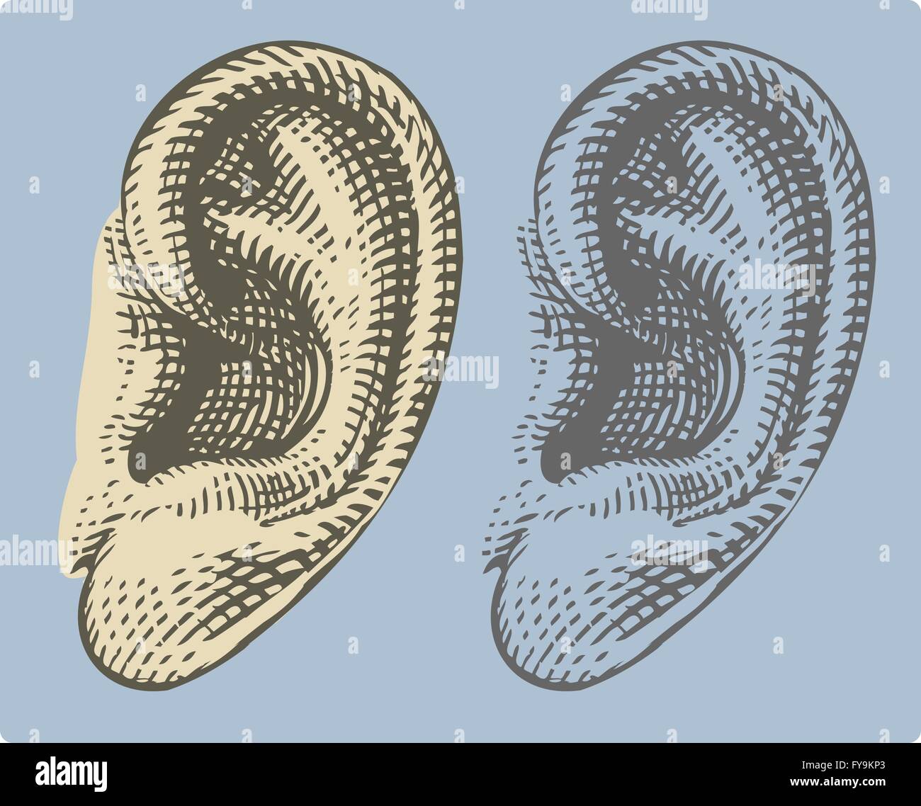 Oreille humaine dans leur gravure Illustration de Vecteur