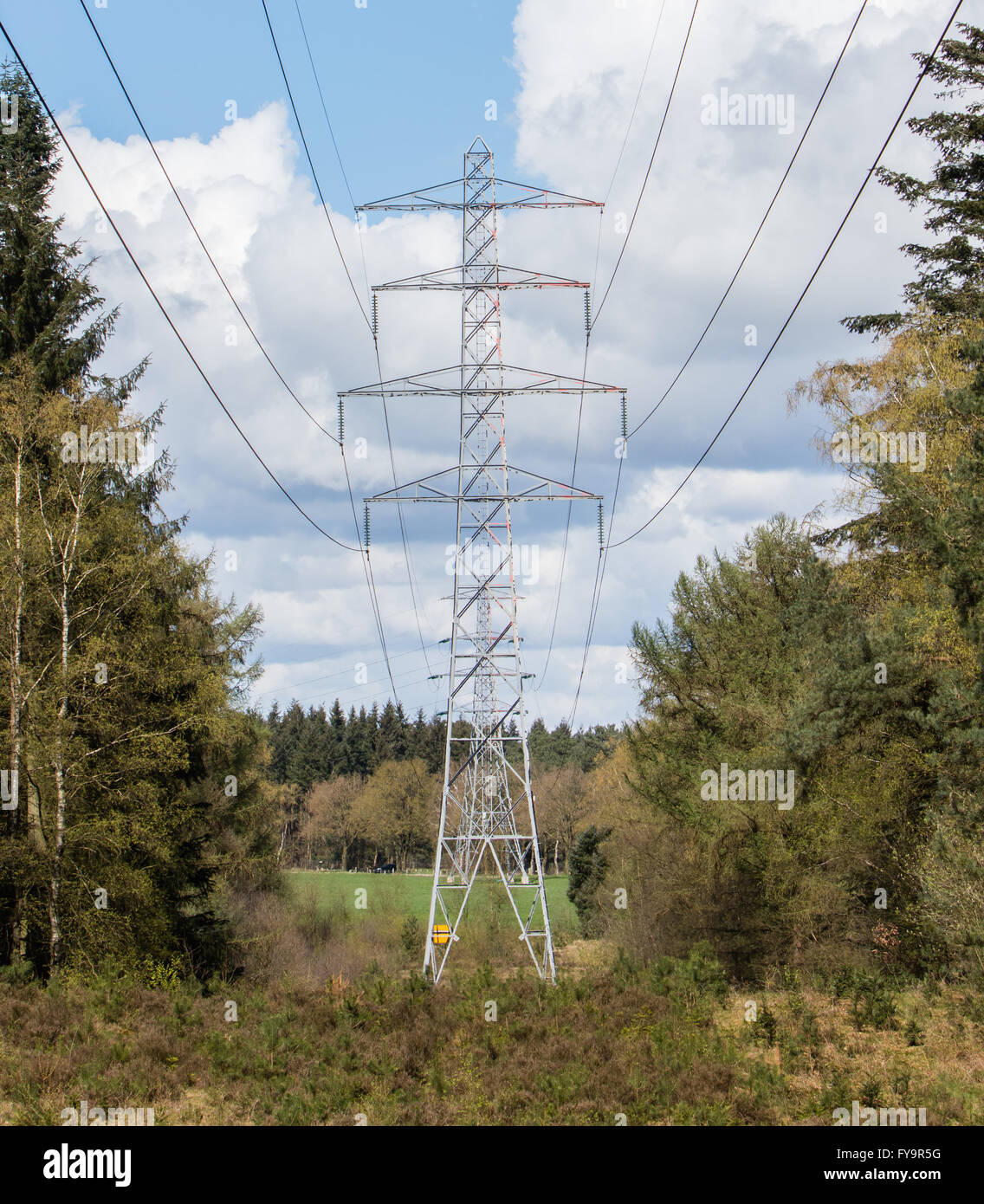 De grands pylônes électriques le fractionnement de la Dutch forrest Banque D'Images