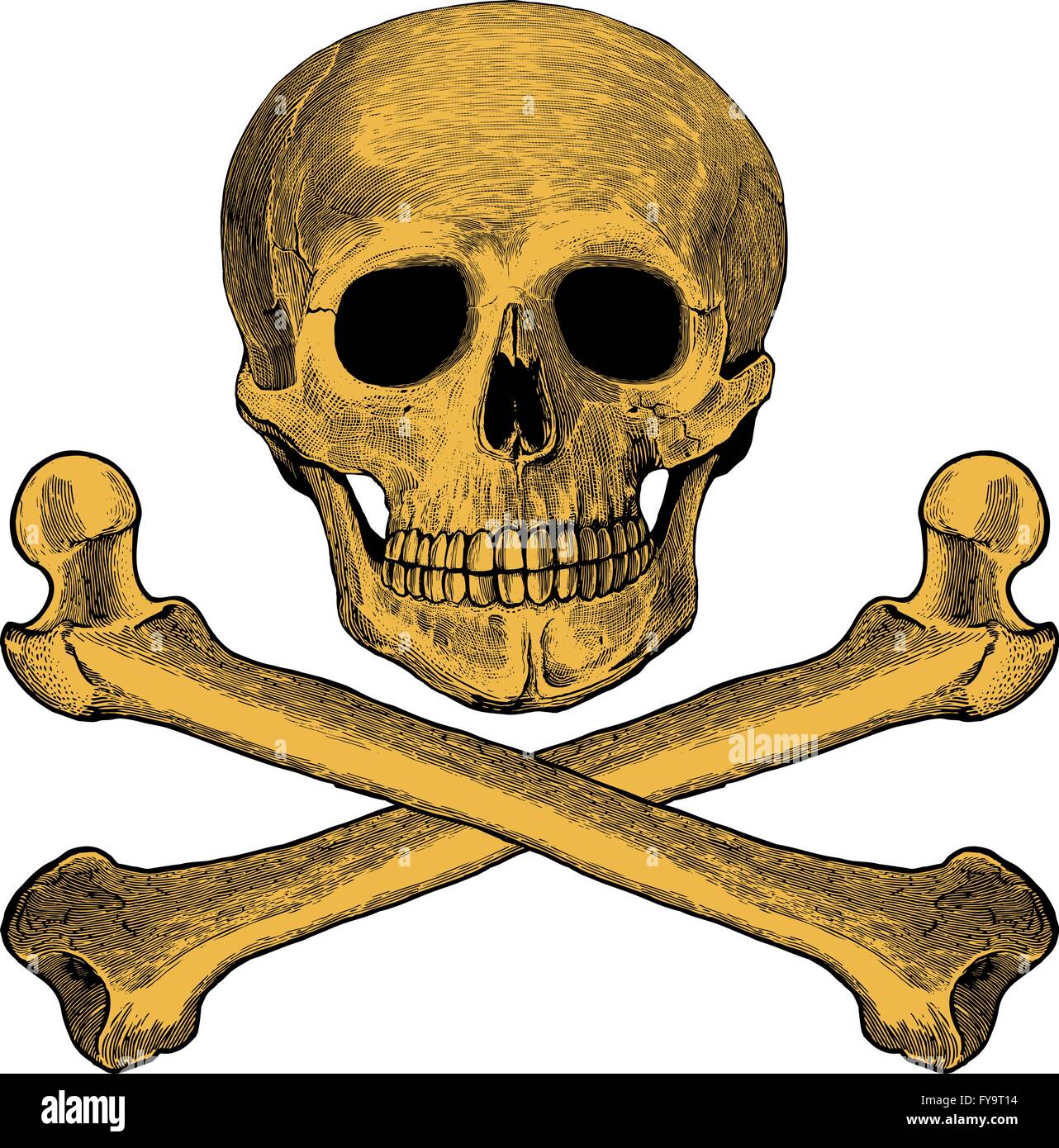 Tête de mort dans leur gravure Illustration de Vecteur