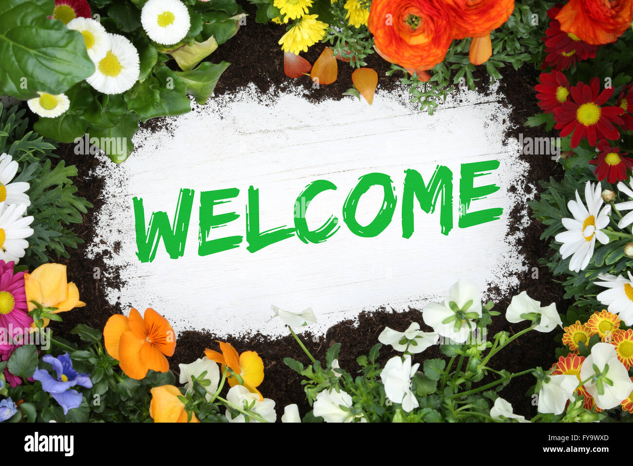 Jardin avec fleurs Bienvenue sur planche de bois Banque D'Images