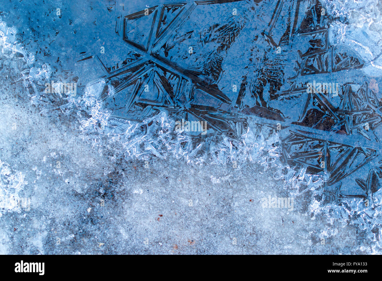 Des cristaux de glace et les modèles forme à la surface d'une flaque d'eau en hiver Banque D'Images