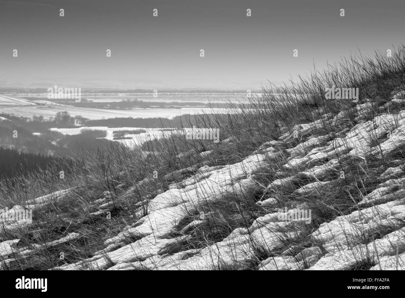 Colline couverte de neige en hiver avec des brins d'herbe et de la végétation au-dessus de la toundra glacée. L'image monochrome noir et blanc. Banque D'Images