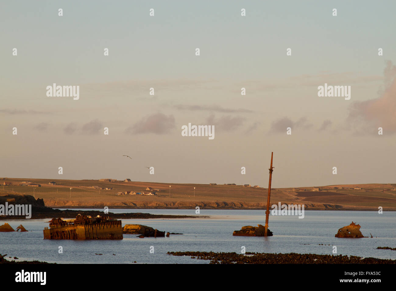 En Blockships Scapa Flow Banque D'Images