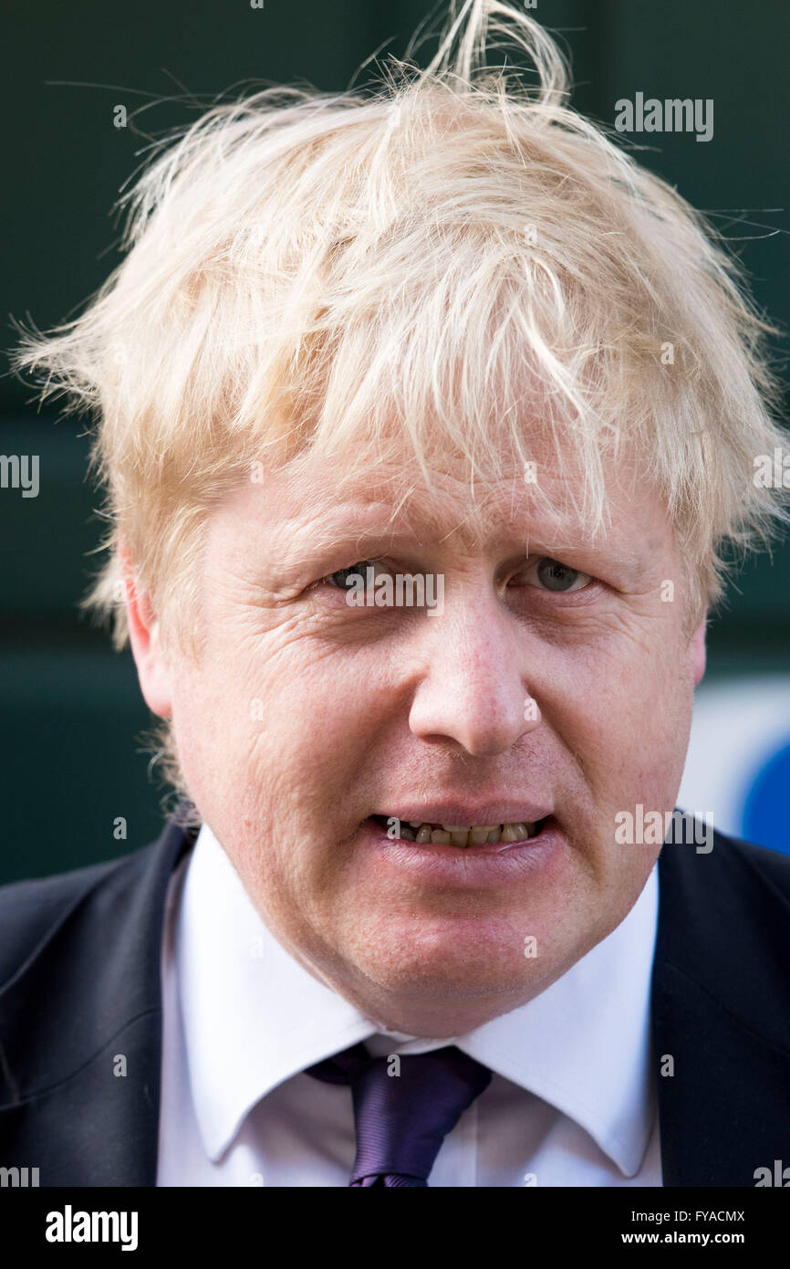 Boris Johnson, député conservateur et ancien maire de Londres. Banque D'Images