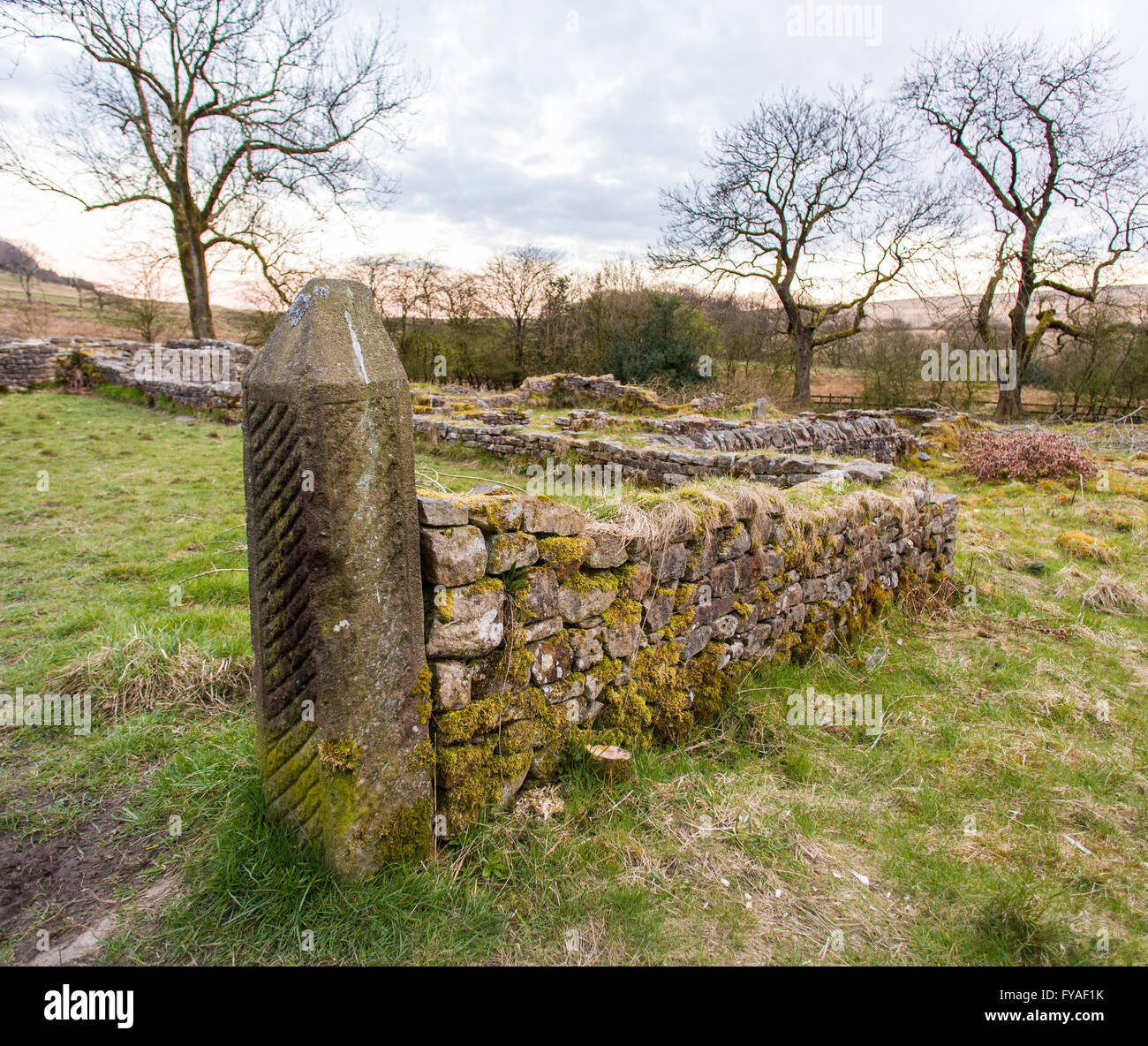 Les ruines de Hollinshead Hall, Grolley Banque D'Images