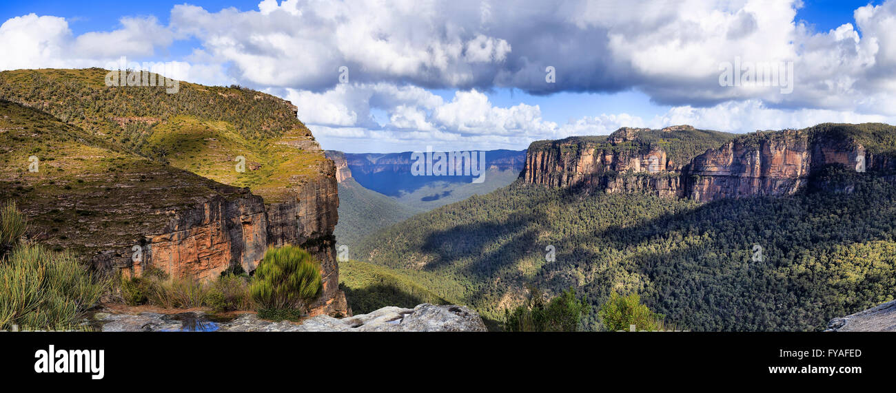 Lookout murs dans parc national de Blue Mountains de l'Australie à la recherche vers le Grand Canyon et rochers environnants avec gumtree fores Banque D'Images