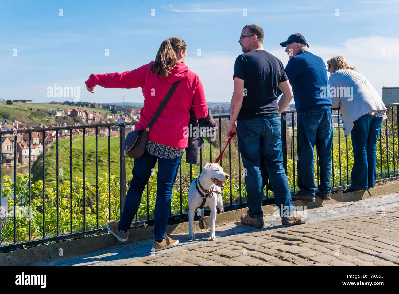 Deux couples et un chien appréciant la vue sur la falaise ouest de Whitby Banque D'Images