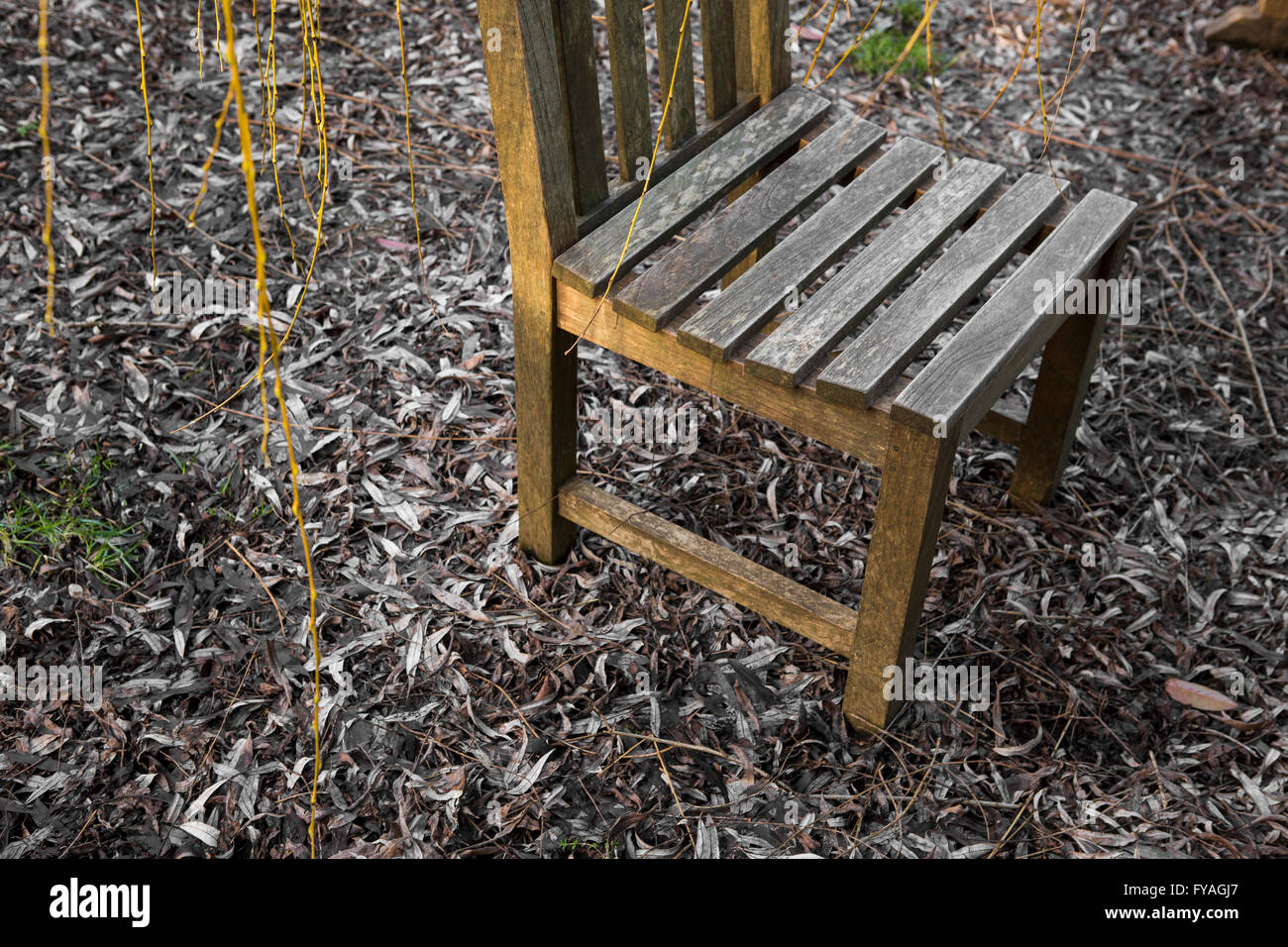 De style meubles de jardin en bois couverts assis dans les feuilles mortes à l'extérieur . Banque D'Images