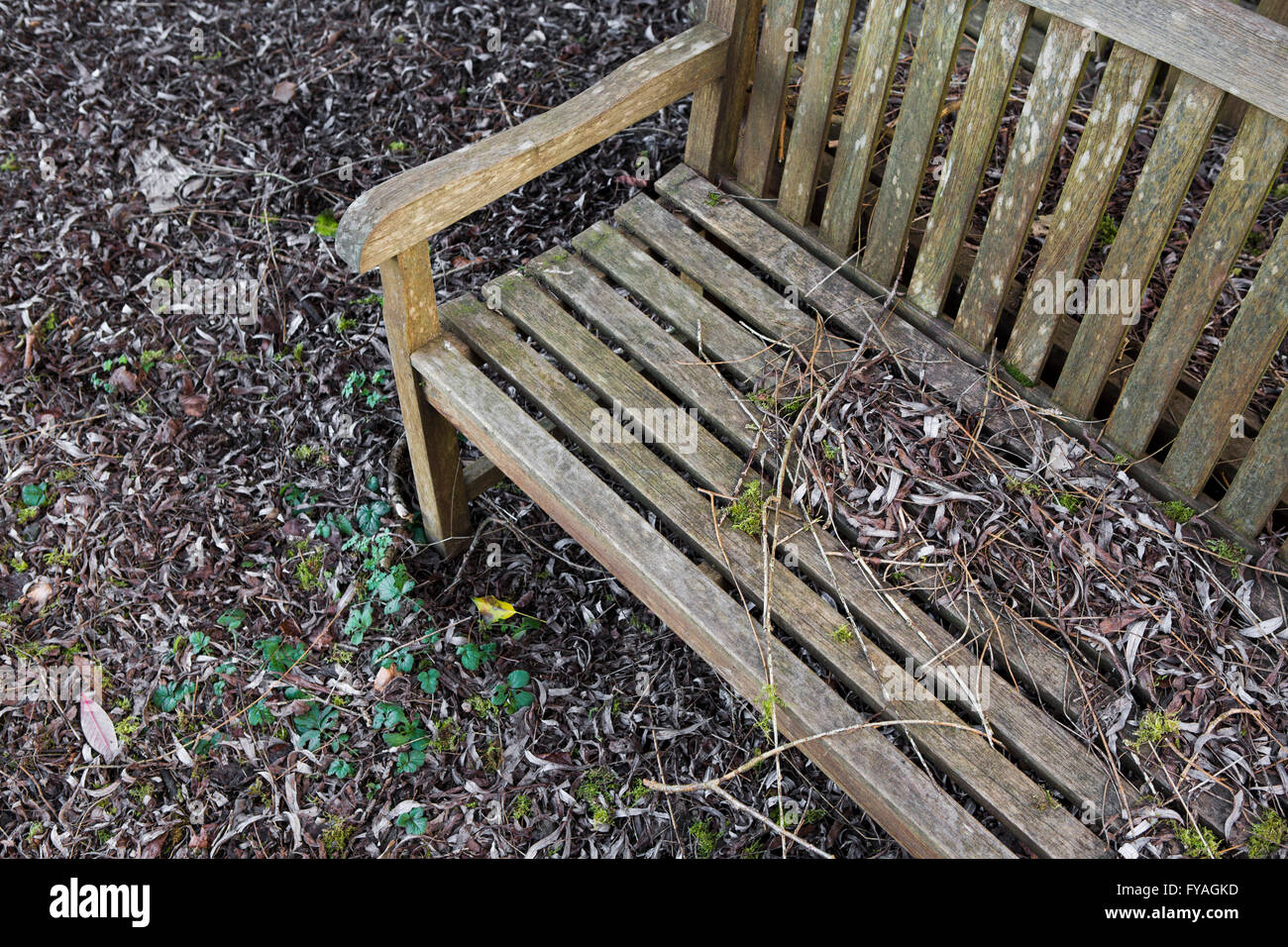 De style meubles de jardin en bois couverts assis dans les feuilles mortes à l'extérieur . Banque D'Images
