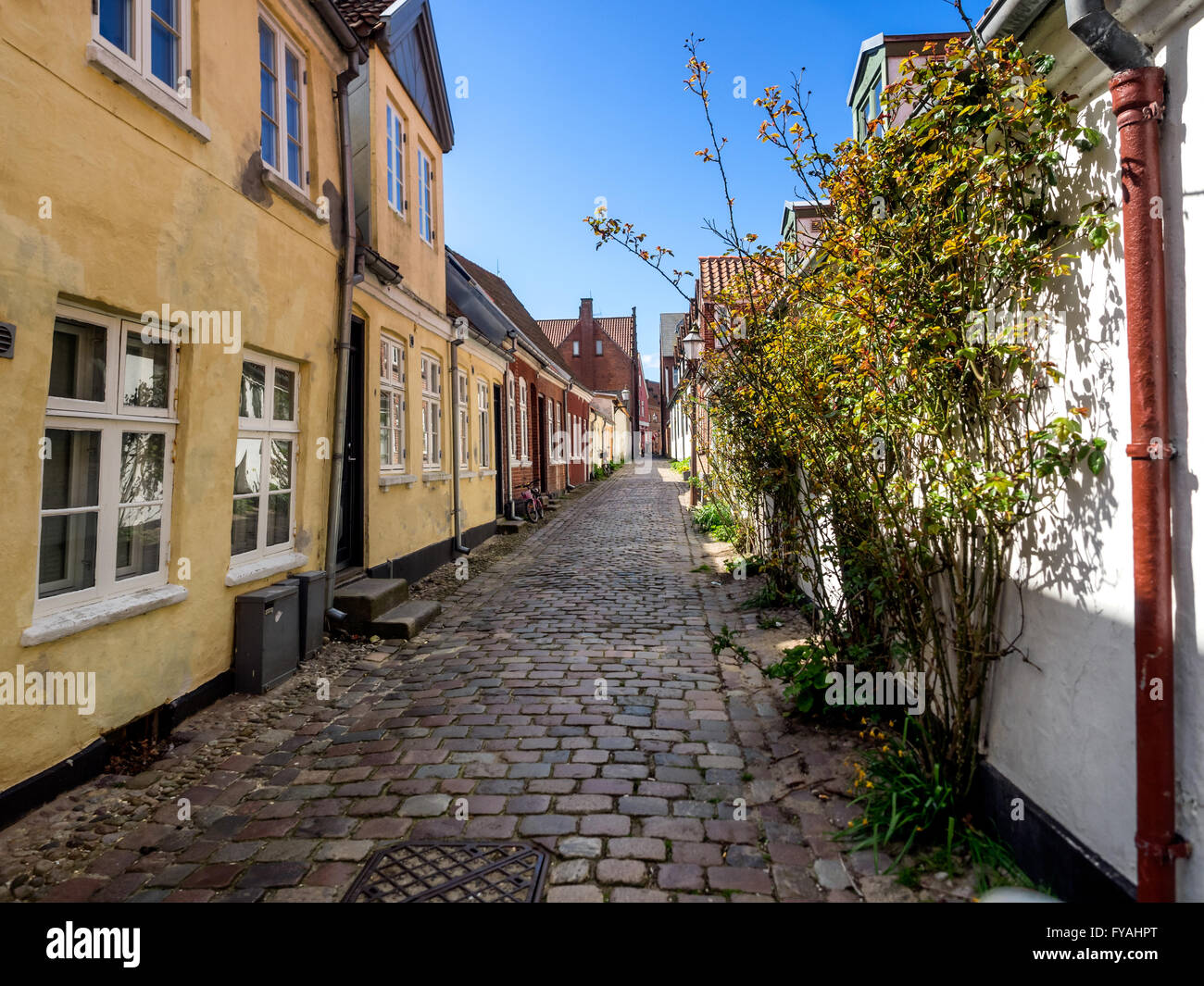 Maisons sur les rues pavées à Ribe au Danemark Banque D'Images