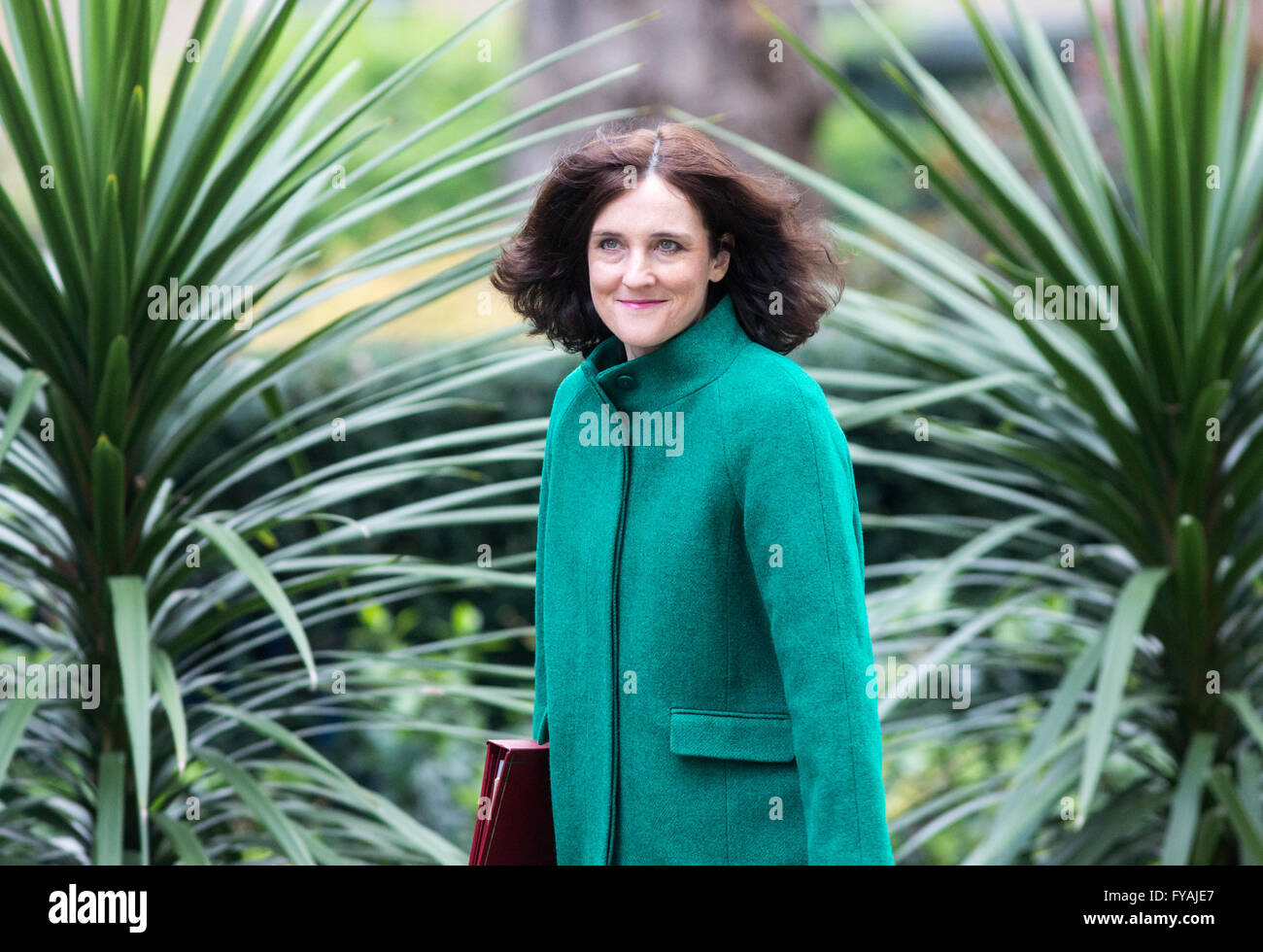 Theresa Villiers,secrétaire d'état pour l'Irlande du Nord,arrive à Downing Street pour une réunion du cabinet Banque D'Images