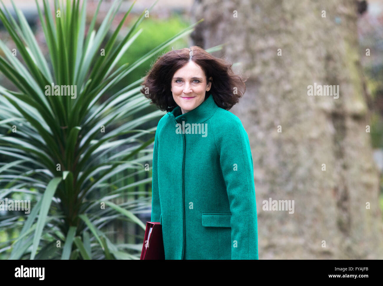 Theresa Villiers,secrétaire d'état pour l'Irlande du Nord,arrive à Downing Street pour une réunion du cabinet Banque D'Images