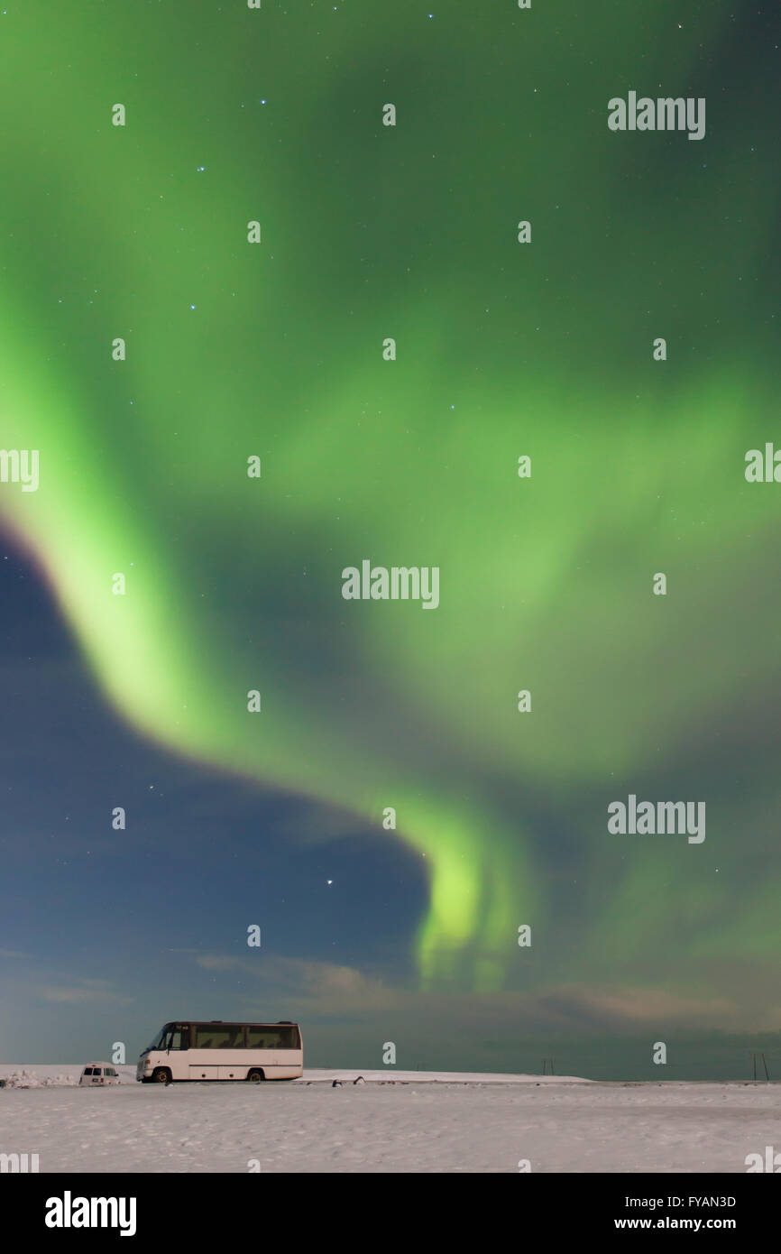 Northern Lights / Aurore boréale, phénomène météo montrant la lumière naturelle afficher en hiver, l'Islande Banque D'Images