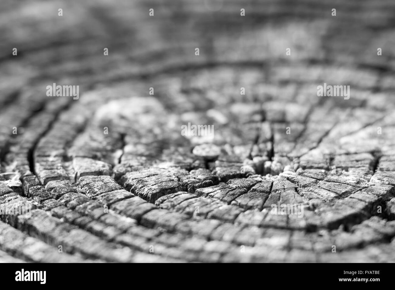 La texture du bois brut photo, texture agréable Banque D'Images