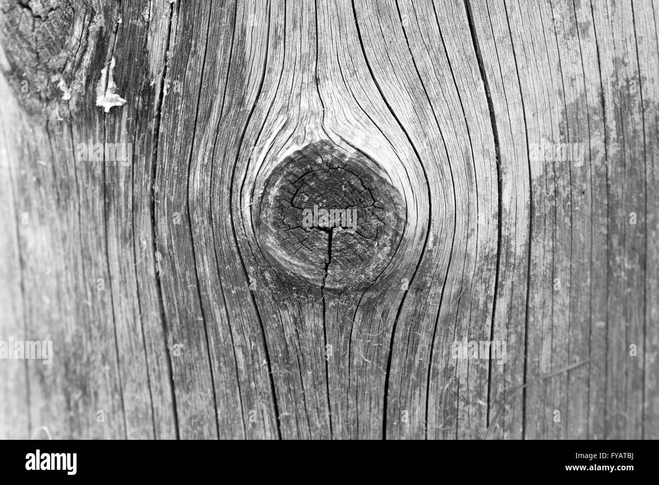 La texture du bois brut photo, texture agréable Banque D'Images