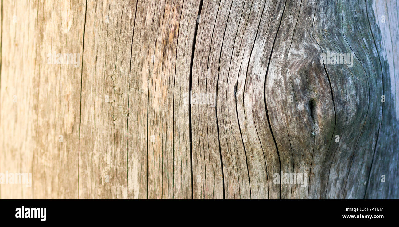 La texture du bois brut photo, texture agréable Banque D'Images