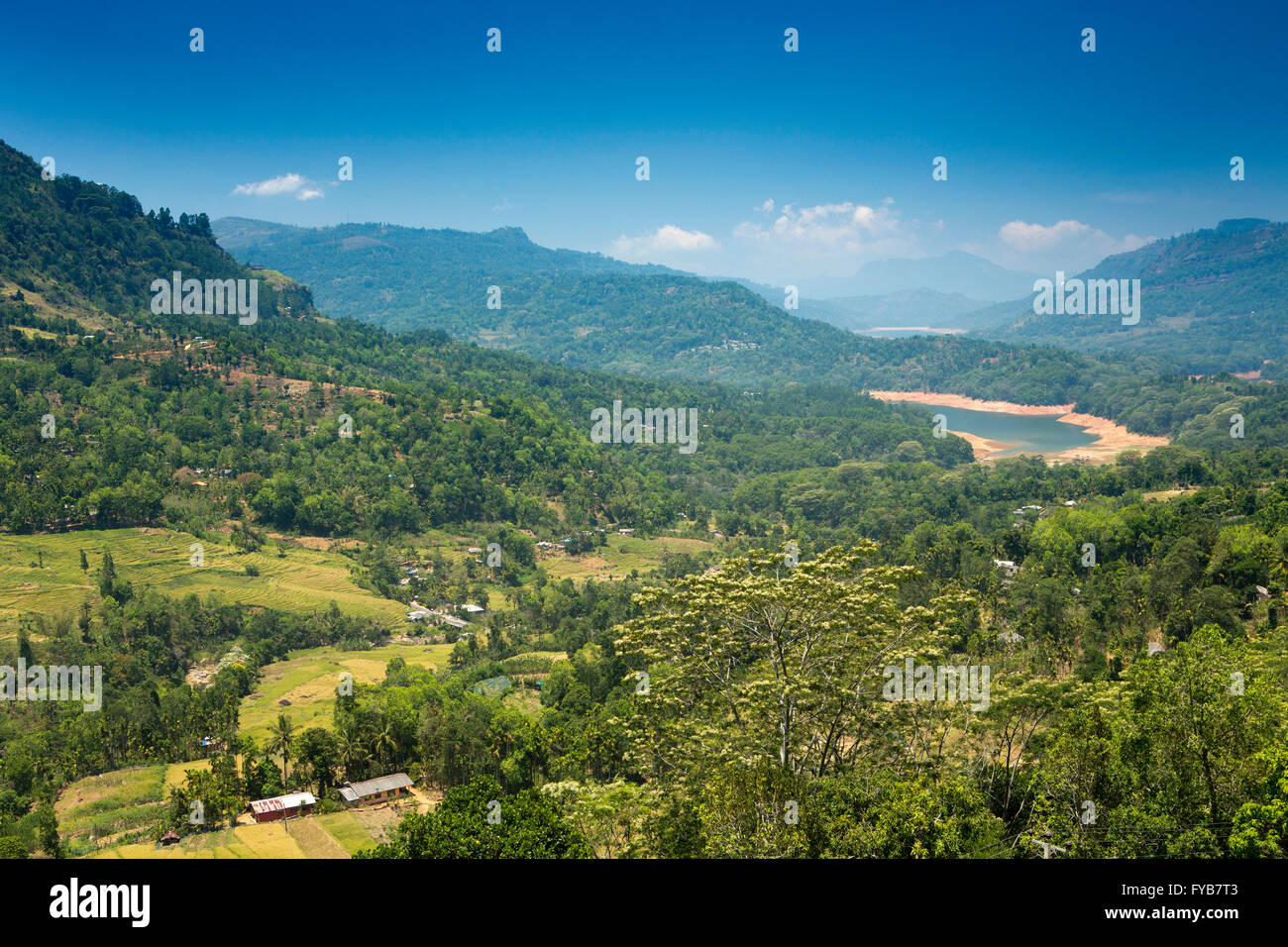 Sri Lanka, Nuwara Eliya, Ramboda, paysage vers Reswrvoir Kotmale Banque D'Images