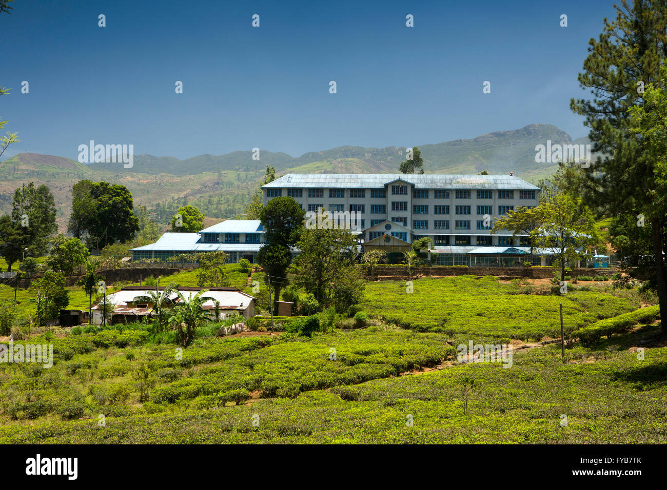 Herse bleue Banque de photographies et d’images à haute résolution Alamy
