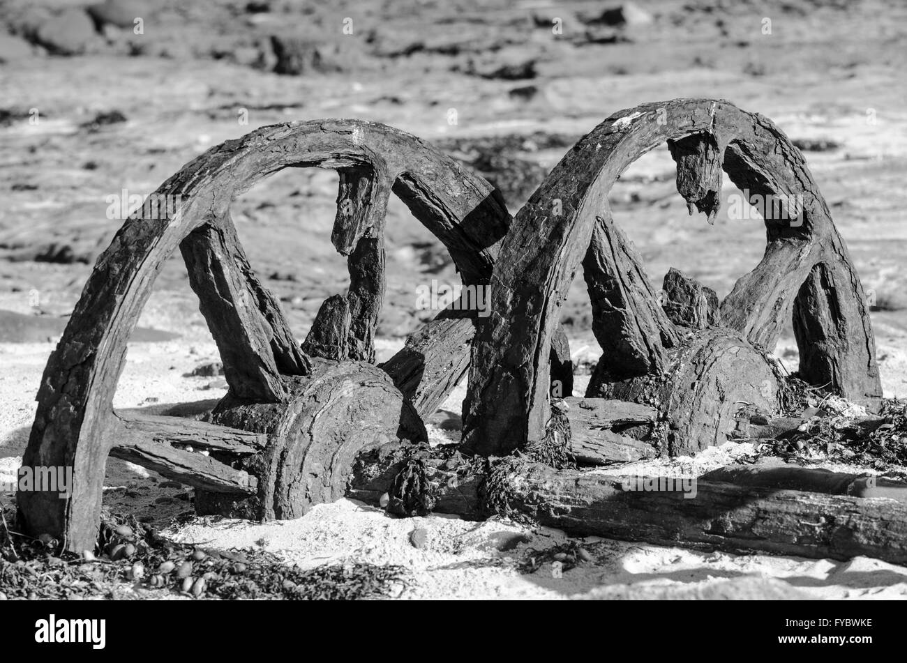 La rouille des roues de chariot ferroviaire historique sur l'Île Windang Illawarra NSW Australie Banque D'Images