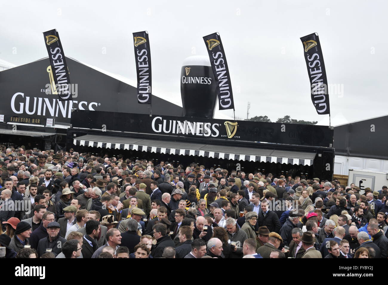 Fête Guinness tente Cheltenham Banque D'Images
