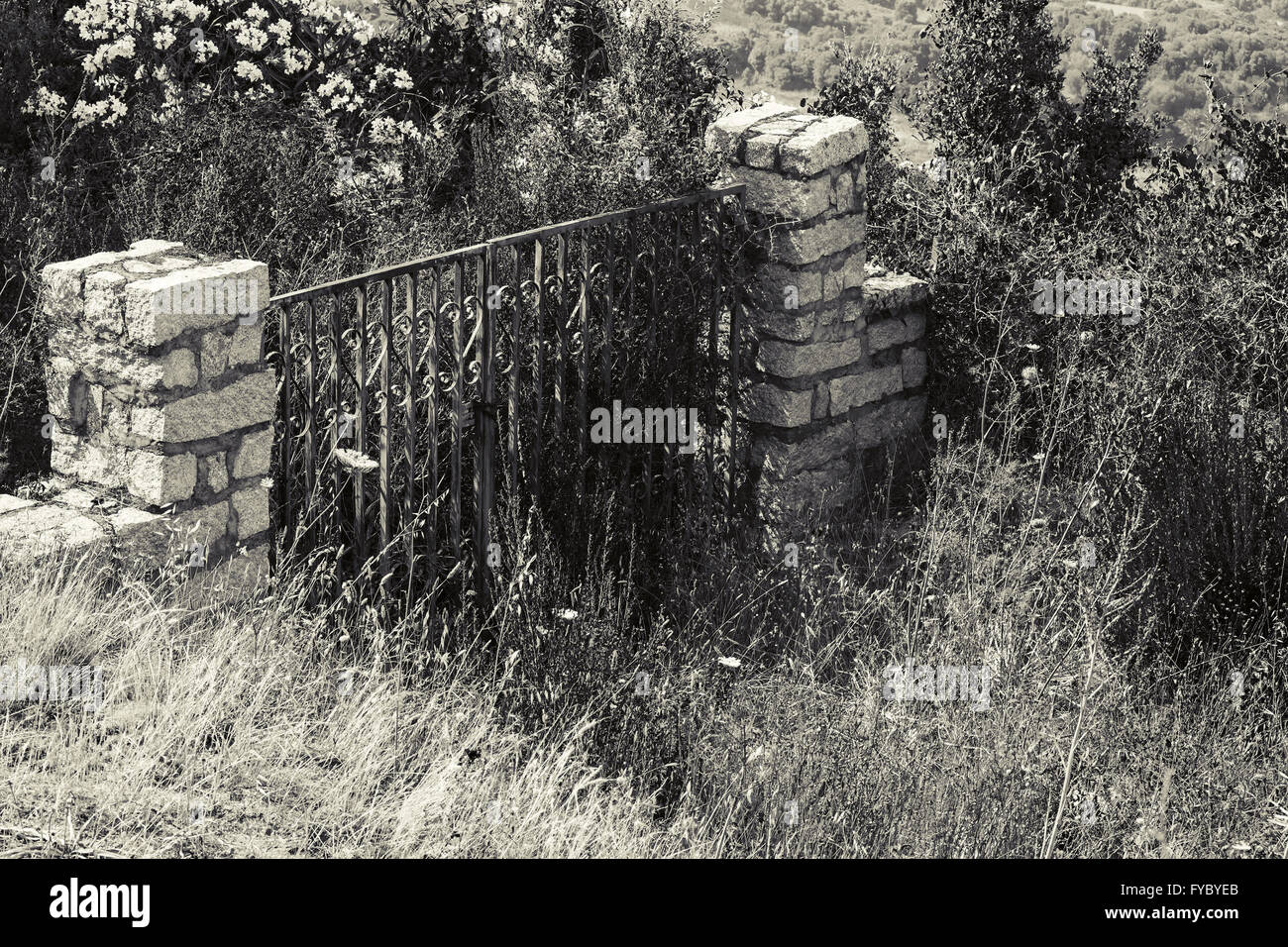 Old Stone Gate verrouillé dans le jardin abandonné. Corse, France Banque D'Images