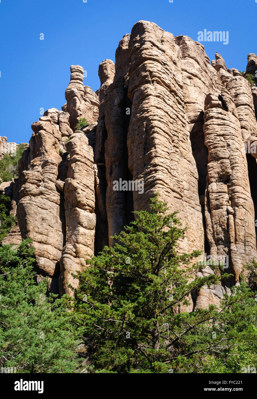 Monument National Chiricahua Banque D'Images