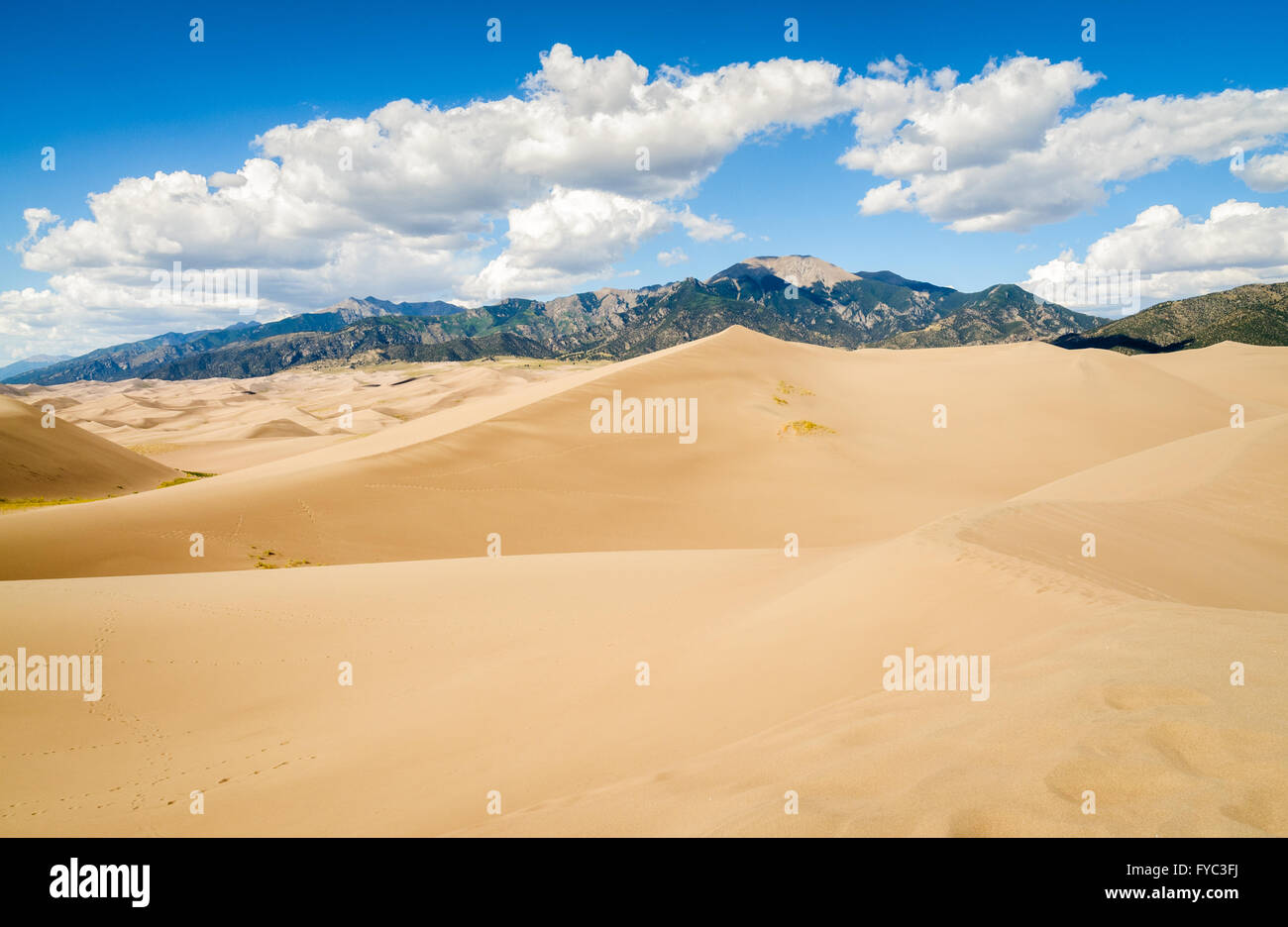 Great Sand Dunes National Park Banque D'Images