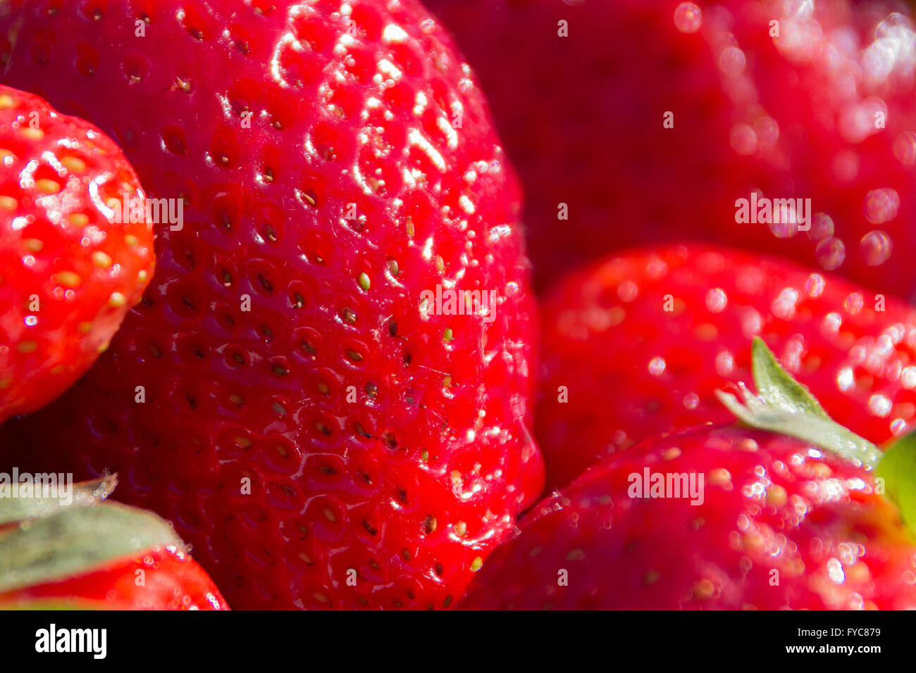 Macro de fraises, fraises - gros plan macro de fruits Banque D'Images