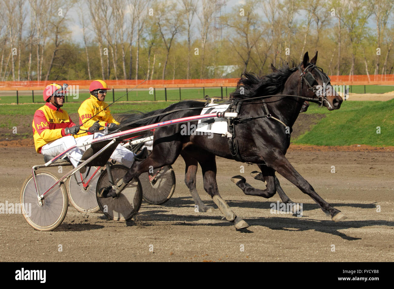 Faisceau Hippodrome courses de chevaux trotter event Banque D'Images