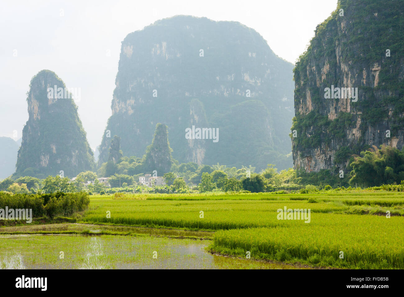 Montagnes karstiques de Yangshuo en Chine Banque D'Images