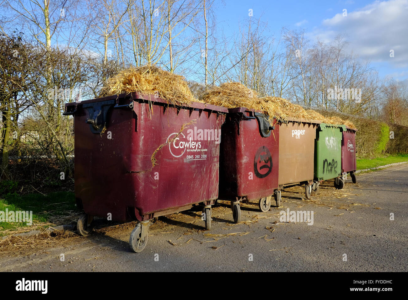 Les bacs de recyclage des déchets de paille trop remplie à côté de road  Photo Stock - Alamy
